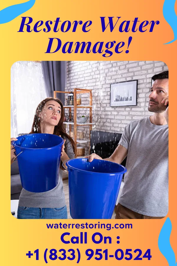 water restoration North Flood Mitigation Pros Alvarado