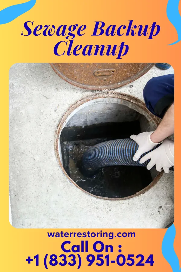Sewage Backup Cleanup in Alvarado, TX